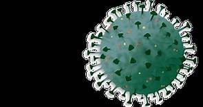 COVID-19 ¿Qué es el Coronavirus? | Virus SARS-CoV-2 | PortalClínic
