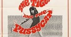 Un tigre en la red (1967) Online - Película Completa en Español - FULLTV