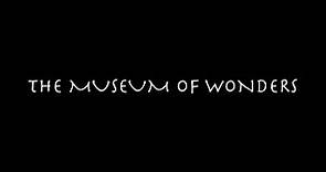 The Museum of Wonders
