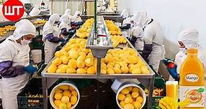 How Mango Juice Is Made In Factory | Modern Fruit Juice Making Technology | Food Factory