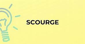 What is the meaning of the word SCOURGE?