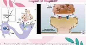 SULFATO DE MAGNESIO - MECANISMO DE ACCIÓN - SELENA ÁLVAREZ