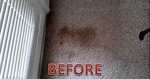 Carpet Stain Removal | Oxi Fresh Carpet Cleaning Fresno CA