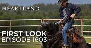 Heartland First Look: Season 16, Episode 3