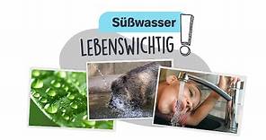 So kostbar: Süßwasser - logo! erklärt - ZDFtivi