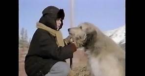 Stone Fox (1987) (TV Movie) Buddy Ebsen, Joey Cramer