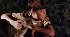 Skippy the Bush Kangaroo (1968-1970)