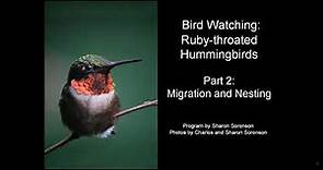 Ruby-throated Hummingbirds: Migration and Nesting