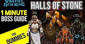 Halls of Stone Heroic Boss Guide | Wrath Classic WOTLK