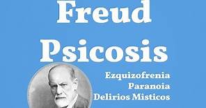 Freud, Psicosis