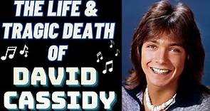 The Life & Tragic Death Of DAVID CASSIDY
