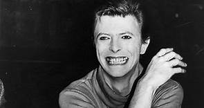 David Bowie Biographer David Buckley Reflects On A Life Immersed In His Colourful World