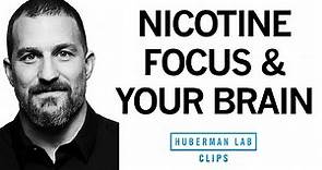 How Nicotine Impacts Your Brain & Enhances Focus | Dr. Andrew Huberman