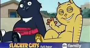 Slacker Cats (TV Series 2007–2009)
