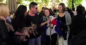 Simon Cowell's Pregnant Girlfriend Lauren Silverman Finalizes Divorce | Splash News TV