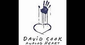 David Cook - Silver (Analog Heart)