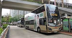 Hong Kong Bus KMB ATENU305 @ 73A 九龍巴士 Alexander Dennis Enviro500 MMC 華明 - 愉翠苑