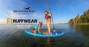Ruffwear Float Coat 2021 Review & Why I Own 3 Generations of this Life Jacket for Dogs
