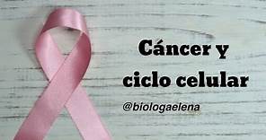 El cáncer y el ciclo celular
