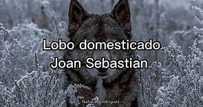 Lobo domesticado - Joan Sebastian (Letra)
