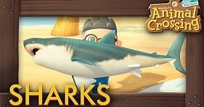 Animal Crossing: New Horizons - How to Catch All Sharks