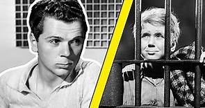 How Hollywood Profited From Jackie Cooper's TRAUMA
