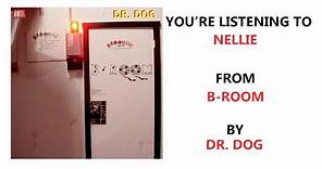 Dr. Dog - "Nellie" (Full Album Stream)