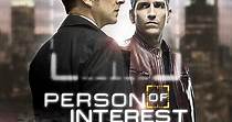 Person of Interest Stagione 2 - streaming online