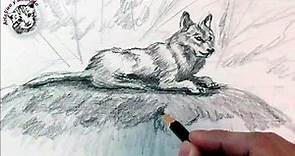 Como dibujar un lobo a lapiz, paso a paso: Como dibujar animales