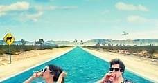 Palm Springs (2020) Online - Película Completa en Español / Castellano - FULLTV