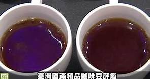 臺灣國產精品咖啡豆評鑑