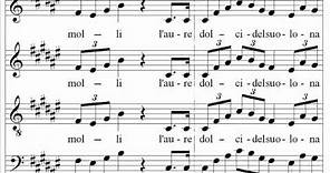 Verdi - Nabucco - Va pensiero - Santa Cecilia Choir and Orchestra