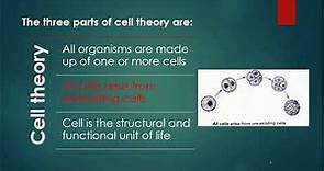 Cell Theory | Schleiden and Schwann | Biology