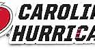 Desert Cactus Carolina Hurricanes Team NHL National Hockey League Sticker Vinyl Decal Laptop Water Bottle Car Scrapbook (Individual C)