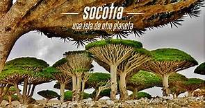 Socotra, una isla de otro planeta