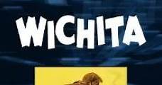 Wichita, ciudad infernal (1955) Online - Película Completa en Español - FULLTV