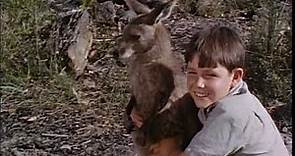 Skippy The Bush Kangaroo (1968) - Trailer