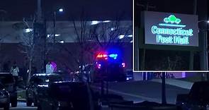 Massive brawl involving hundreds of people forces Connecticut mall to close early