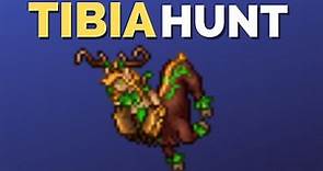 Tibia Hunt Forest Fury