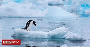 Antártida: os países que disputam a soberania do continente gelado - BBC News Brasil