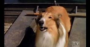 The New Lassie (Season 1 Eps.14)