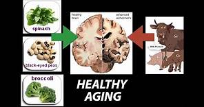 Healthy, (Nutrient) Wealthy and Wise: Diet for Healthy Aging - Research on Aging