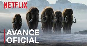 La vida en nuestro planeta (EN ESPAÑOL) | Avance oficial | Netflix
