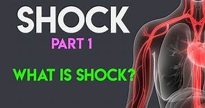 What Is Shock? | Shock Pathophysiology | Shock (Part 1)