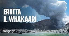 Nuova Zelanda, erutta il vulcano Whakaari: cinque morti. Un turista: "Sono vivo per miracolo"