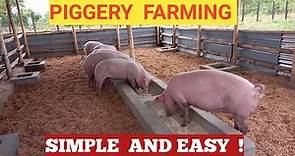 How To START A PIG FARM Business As A BEGINNER! ( DETAILED )