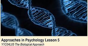 A-Level Psychology (AQA): Approaches in Psychology - The Biological Approach