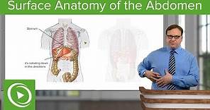 Surface Anatomy of the Abdomen – Anatomy | Lecturio