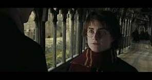 Harry Potter and the Brokeback Goblet