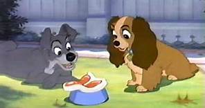 Lady and the Tramp (1955) - Lady Meets Tramp